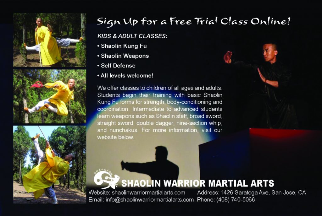 Shaolin kung fu returns - YP