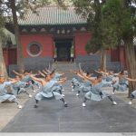 Shaolin Warrior at Shaolin Temple