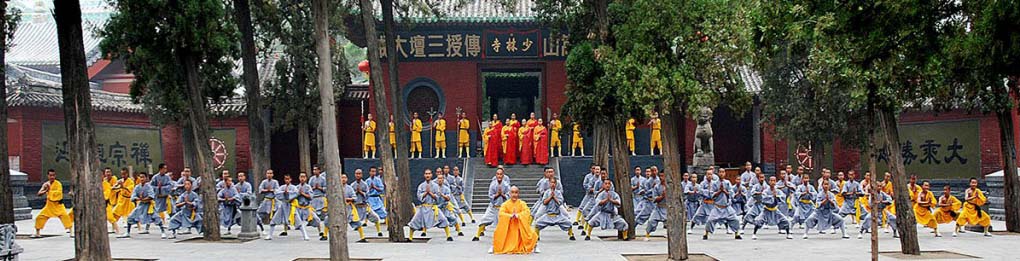 Shaolin Temple 2