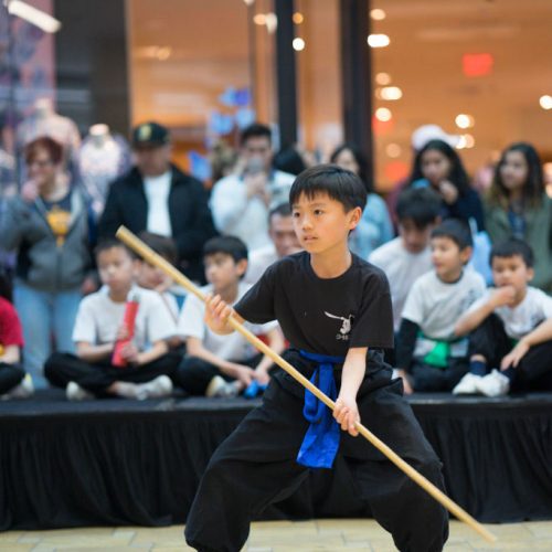 Kung Fu Performance in San Jose