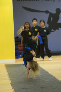 Kung Fu Class